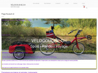 velocouche.ch Webseite Vorschau