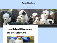 velvetfeet.ch Webseite Vorschau
