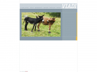 viadi.ch Webseite Vorschau