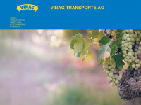 vinag.ch Webseite Vorschau