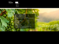 vino-hofer.at Webseite Vorschau