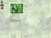 vinyard.de Webseite Vorschau