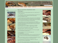 vipera-berus.de Webseite Vorschau