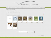 vogelschutz-landquart.ch Webseite Vorschau