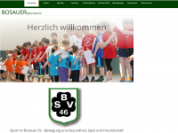 bosauer-sv.de Webseite Vorschau