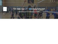 volleyball-halle.de Webseite Vorschau
