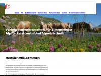 vsa-bo.ch Webseite Vorschau