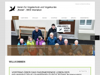 vsvb.ch Webseite Vorschau