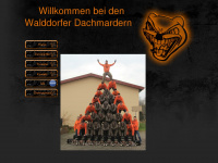 walddorferdachmarder.de Webseite Vorschau