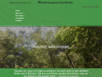 waldkindergarten-badmuender.de Webseite Vorschau