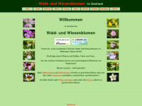Waldundwiesenblumen.at