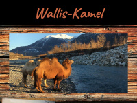 wallis-kamel.ch Webseite Vorschau