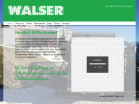 walsersystemeag.ch Webseite Vorschau
