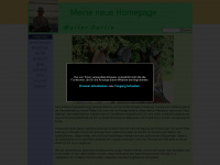 walter-oertle.ch Webseite Vorschau