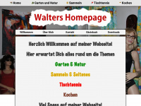 walterteuchtmann.at Webseite Vorschau