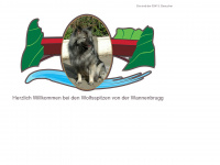 wannenbruggs-wolfsspitze.ch Webseite Vorschau