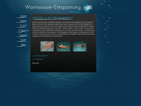 warmwasser-entspannung.de Webseite Vorschau