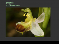 grabner-orchideen.com