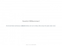 webhostingsolutions.ch Webseite Vorschau
