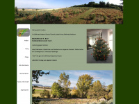 weihnachtsbaum-service.de Webseite Vorschau