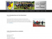 weilheim-triathlon.de Webseite Vorschau