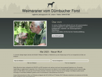 weimaraner-vom-duernbucher-forst.de Webseite Vorschau