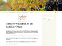 weinbau-pflueger.at Webseite Vorschau