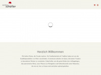 weinhaus-schueller.at Webseite Vorschau
