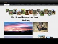 wellberg.ch Webseite Vorschau