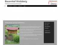 wellsberg.ch Webseite Vorschau