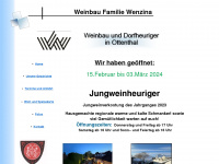 wenzina.at Webseite Vorschau