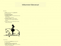 westernsaddles.ch Webseite Vorschau