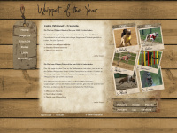 whippet-of-the-year.de Webseite Vorschau