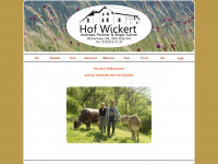 wickert.ch Webseite Vorschau
