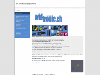 widtronic.ch Webseite Vorschau