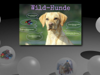 wild-hunde.de Webseite Vorschau