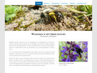 wildbienen-umweltbildung.de Webseite Vorschau