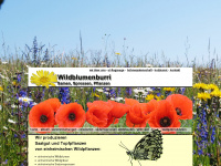 wildblumenburri.ch Thumbnail