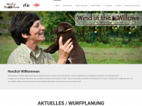 windinthewillows.de Webseite Vorschau