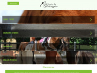 winiger-horse.ch Webseite Vorschau