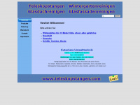 wintergartenreinigung.at Webseite Vorschau