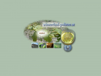 winzerhof-polster.at Webseite Vorschau