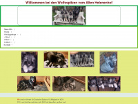 wolfsspitz-zucht.de Webseite Vorschau