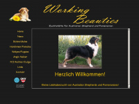 workingbeauties.at Webseite Vorschau