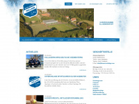 blauweisshollage.com Webseite Vorschau