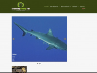 oceanfunscape.com Webseite Vorschau