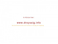 droyssig.info Webseite Vorschau