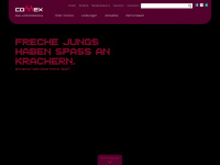 connex-stb.de Webseite Vorschau