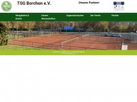 tsg-borchen.de Webseite Vorschau