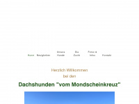 mondscheinkreuz.com Webseite Vorschau